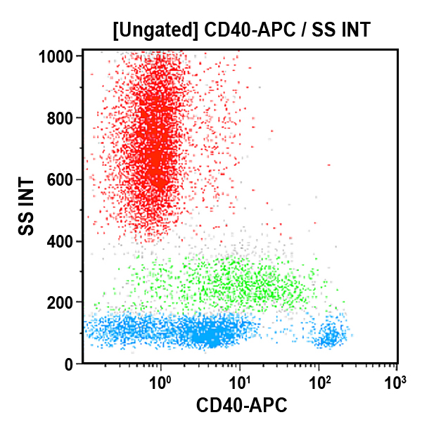 B30636_CD40-APC (クローン: MAB89, 50テスト)
