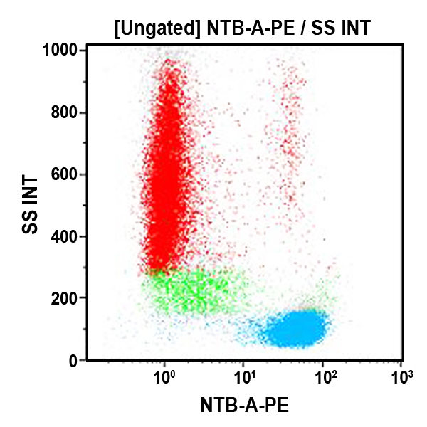 A40926_CD352-PE (クローン: MA127, 50テスト)
