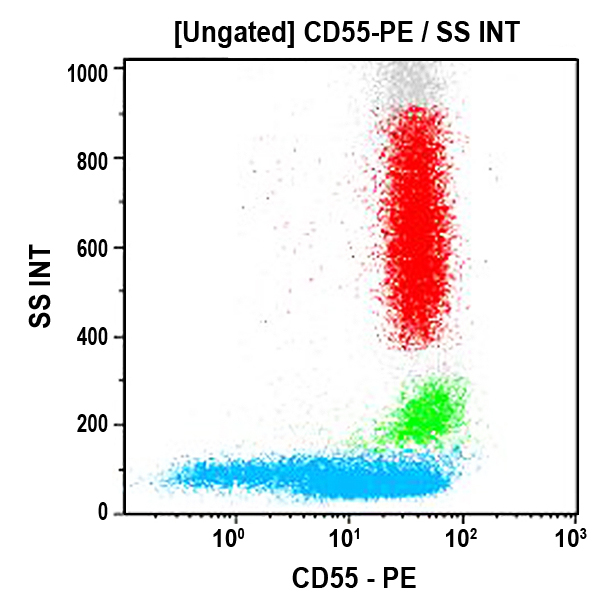 IM2726_CD55-PE (クローン: JS11KSC2.3, 100テスト)