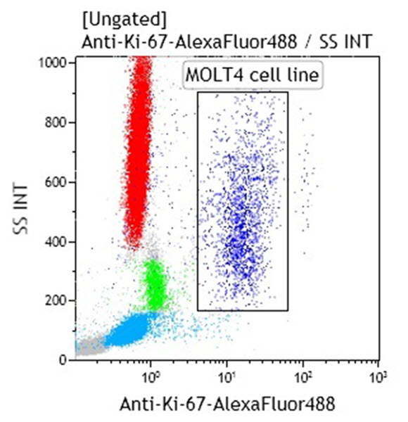 B68180_Ki-67-AF488 (クローン: Ki-67, 50テスト)