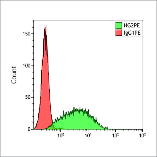 B92429_NG2-PE (クローン: 7.1, 100テスト)