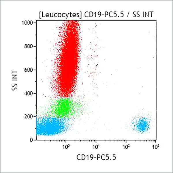 A66328_CD19-PC5.5 (クローン: J3-119, 50テスト)