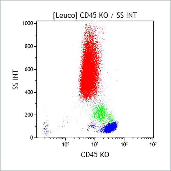 B36294_CD45-KrO (クローン: J33, 50テスト)
