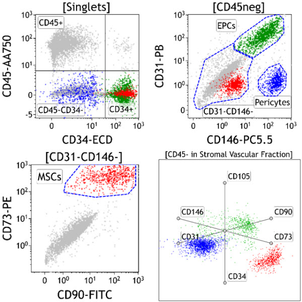 C34369_DURAClone SC Mesenchymal Tube (25テスト)